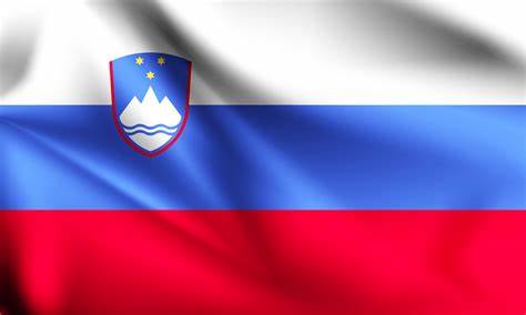 QUARTO TRIMESTRE 2024 DELLA DIFESA CIVICA IN SLOVENIA